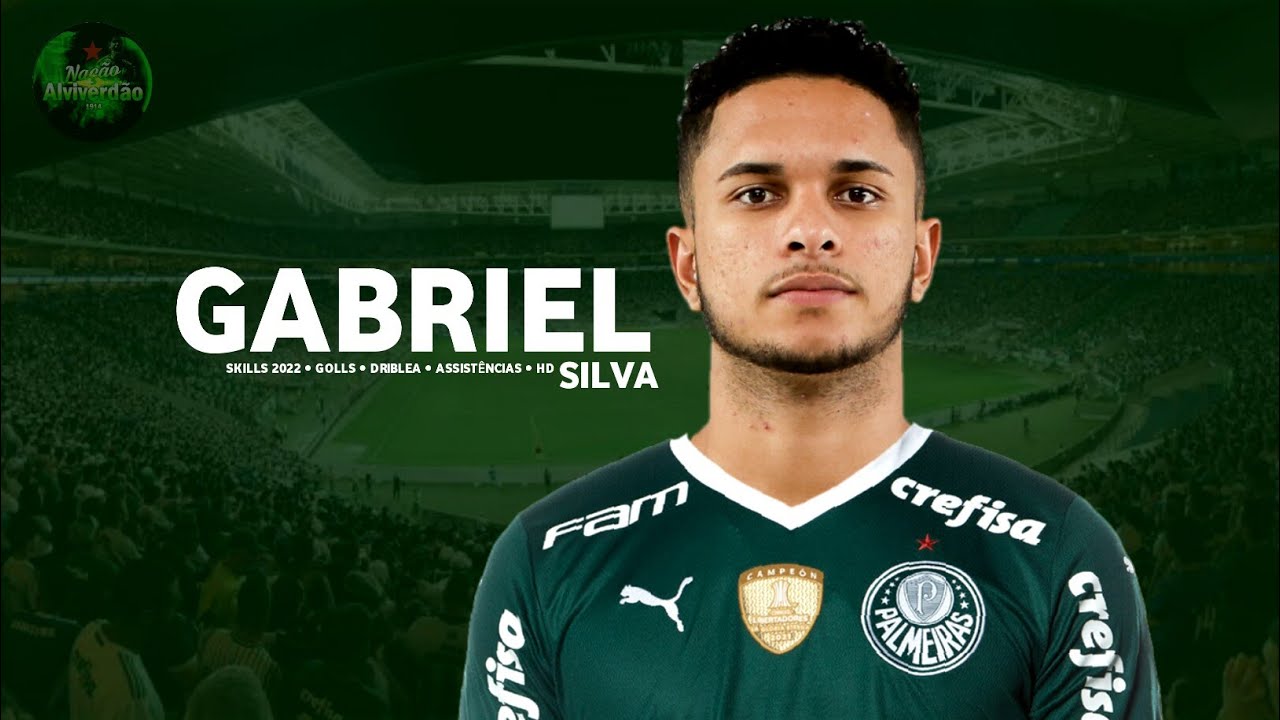 Gabriel Silva Vieira