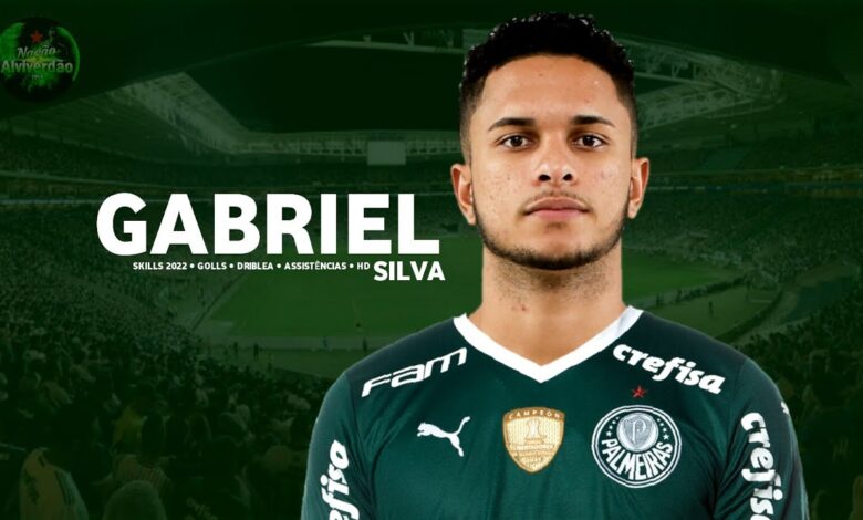 Gabriel Silva Vieira