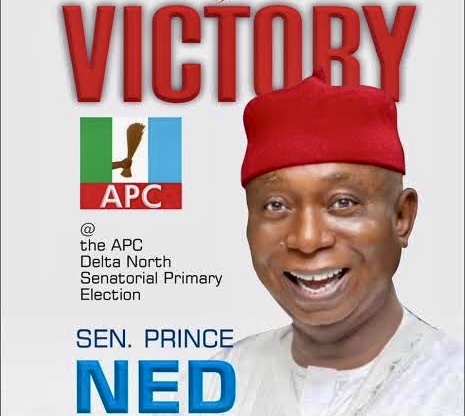 Delta North Senate Race: Ned Nwoko Declares Interest, Welcomes Okowa Into Contest 6 IMG 6524