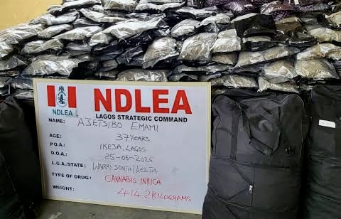 Federal High Court of Nigeria in Lagos Jails Two Vendors for Cannabis Trafficking Following Drug Conviction 1 IMG 6633