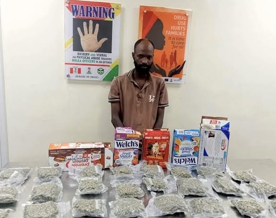 NDLEA seizes cocaine and loud hidden in food flasks and snacks, arrests fashion designer, others 1 IMG 6653