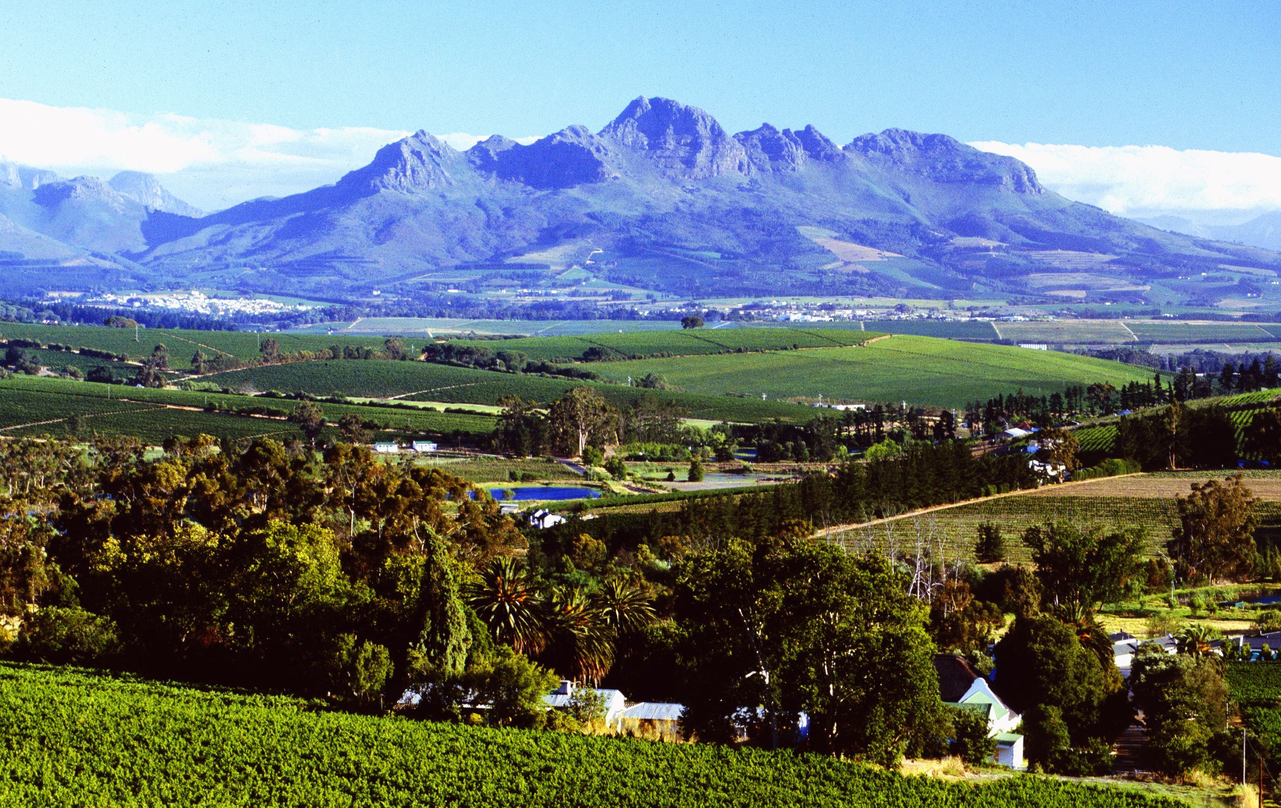 Stellenbosch (Western Cape) – Academic and Wine Region