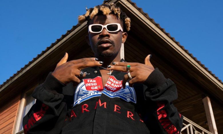 TG Omori (Boy Director) Biography 2026: Life, Career, Health Journey, Net Worth & Legacy 1 Naijakit laycon paid me 100 million for his hip hop video music video director tg omori reveals 306619 ddlmf