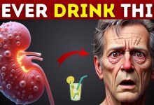 kidney