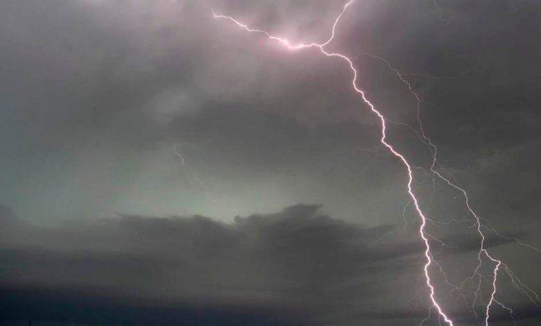 # Lightning Strike Kills Six Children on Adamawa Groundnut Farm After Heavy Rainstorm A tragic lightning strike during a heavy rainstorm has claimed the lives of six children in Ganye Local Government Area of Adamawa State, leaving residents of Dadiri Village in shock and mourning. The heartbreaking incident reportedly occurred on Saturday afternoon while several children were working on a groundnut farm in the community. According to security reports cited by counter-insurgency and security analyst Zagazola Makama, the lightning struck at about 4:00 p.m. after hours of heavy rainfall in Dadiri Village. The children were said to be on a groundnut farm owned by a local farmer identified as Musa Maude when the incident happened. The Chairman of the Civilian Joint Task Force (CJTF) in Ganye, Mallam Salau Iliya, reportedly alerted officers at the Ganye Police Station immediately after the tragedy. Police officers led by the Divisional Police Officer swiftly responded to the scene, where nine children were found unconscious. Authorities said three of the children later regained consciousness, while six others were rushed to the Cottage Hospital in Ganye. Medical personnel reportedly confirmed the six victims dead shortly after they arrived at the facility. ## Victims Identified After Adamawa Lightning Tragedy The children who lost their lives were identified as: | Name | Age | | ---------------- | -------- | | Aliyu Suleiman | 10 years | | Jafar Suleiman | 8 years | | Abdurrahman Musa | 7 years | | Bilkisu Jibrilla | 10 years | | Musa Ahmadu | 9 years | | Auwalu Nuhu | 11 years | Three other children survived the lightning strike after regaining consciousness. The bodies of the deceased were deposited at the Cottage Hospital mortuary in Ganye, while grieving families and residents gathered to mourn the sudden loss of the young victims. ## Community Thrown Into Mourning The incident has left Dadiri Village devastated, with many residents describing the tragedy as one of the most painful events to hit the community in recent times. The deaths of the six children have sparked widespread grief among families and neighbours, especially as the incident occurred during a routine farming activity amid the rainstorm. ## Police Launch Investigation Into Incident Authorities have confirmed that the Adamawa State Criminal Investigation Department has commenced an investigation into the circumstances surrounding the incident. While lightning-related deaths are rare, the tragedy has once again highlighted the dangers of remaining in open fields during severe thunderstorms and heavy rainfall.