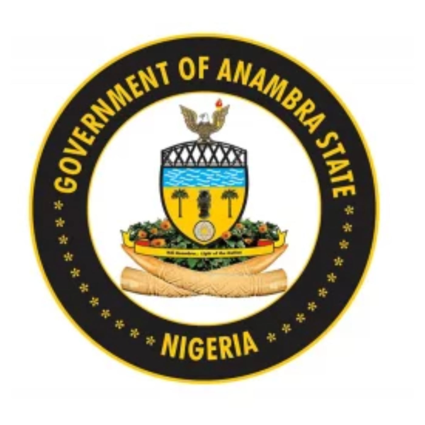 Anambra Government Breaks Silence After Fake Made-in-Nigeria Agency Scandal