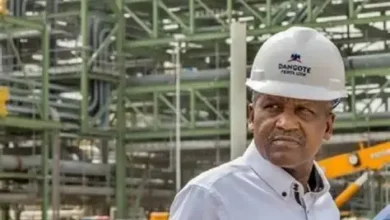 Dangote Reveals Why His First Grandson Is Not Yet Joining the Family Business