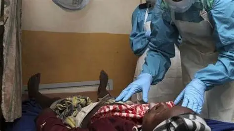 Lassa Fever Cases Hit 1,000 Nationwide as 237 Deaths Are Recorded