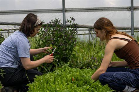 Agriculture Internship Opportunities Attract Attention