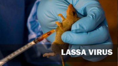 Lassa